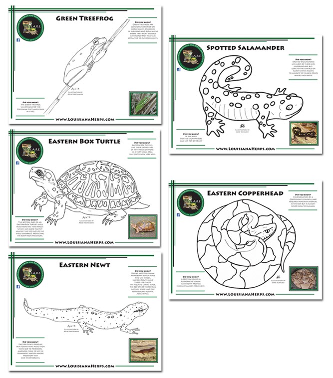 LARE Coloring Pages