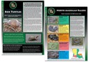 LARE Fact Sheets