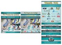 ON TAP Dragon Boat Races 2018 LifeStyle Ads